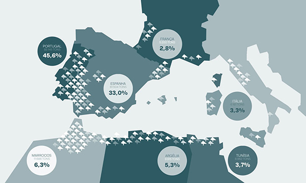 什么是软木橡胶？