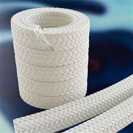 James Walker Lionpak 2100阀门密封盘根