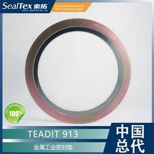 奥地利泰迪TEADIT 913金属工业密封垫