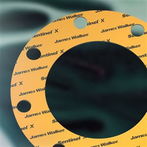 James Walker Sentinel-X 食品级无石棉垫片