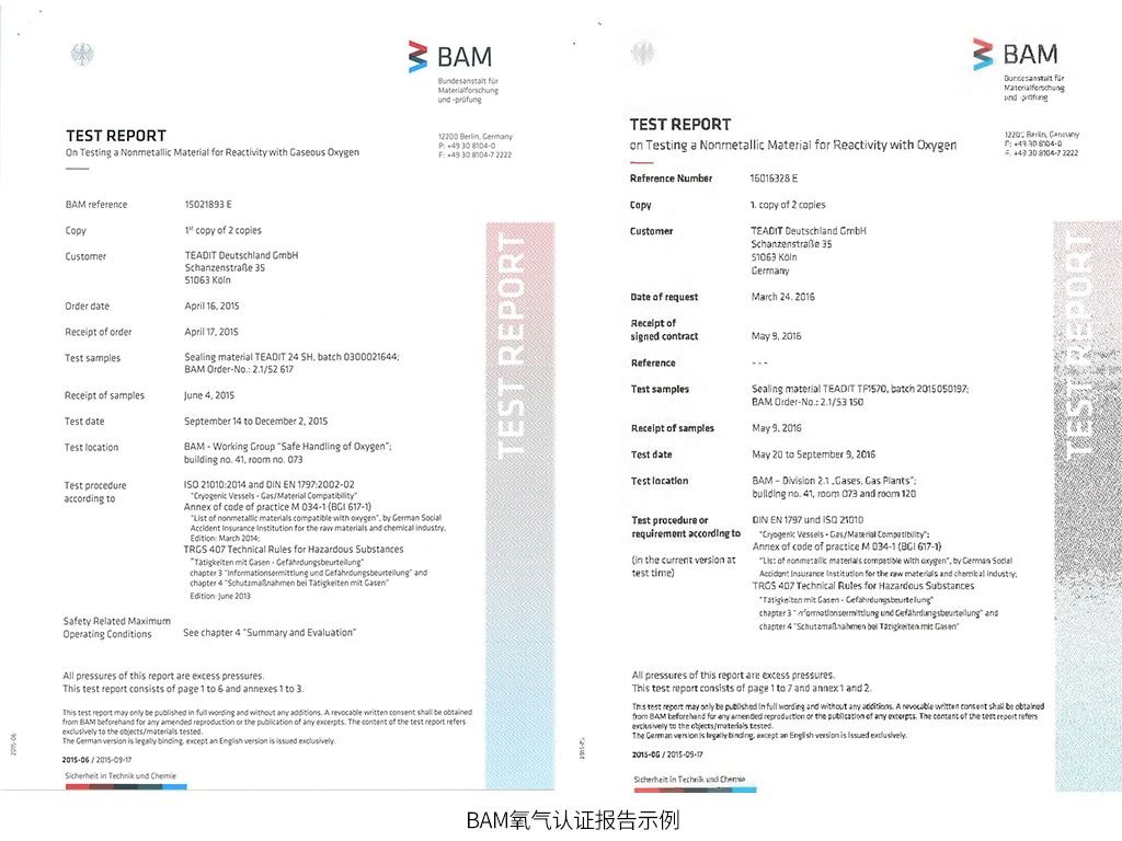 拥有BAM氧气认证的奥地利TEADIT密封垫与填料
