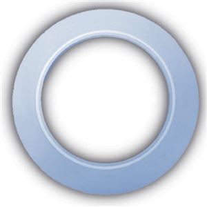 RC510TEADIT泰迪搪玻璃反应釜用密封垫