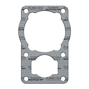 PLANICHEM MULTIFLEX HPT石墨密封垫