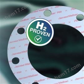 James Walker Fluolion 700四氟密封垫