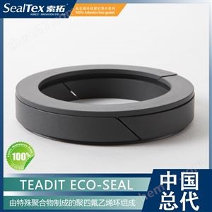 奥地利泰迪TEADIT Eco-Seal 辅助密封系统
